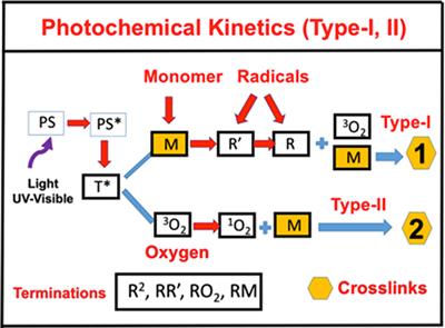 Modeling the Kinetics, Curing Depth, and Efficacy of Radical-Mediated Photopolymerization: The Role of Oxygen Inhibition, Viscosity, and Dynamic Light Intensity